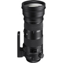 Sigma 150-600mm F5-6.3 OS Sport: Picture 1 regular