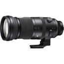 Sigma 150-600mm f/5-6.3 DG DN: Picture 1 regular
