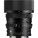 Sigma 35mm f/2 DG: Picture 1 regular