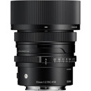 Sigma 35mm f/2 DG: Picture 1 regular