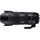 Sigma 70-200mm f/2.8 Sport: Picture 1 regular