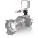 Shape : Picture 1 regular