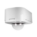 Sony Dome: Picture 1 regular