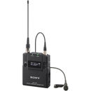 Sony DWT-B30: Picture 1 regular
