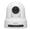 Sony SRG-X120 Full HD HDMI/IP/3G-SDI 12x PTZ Camera, White White