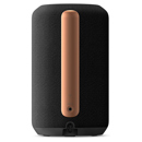 Sony SRS-RA3000: Picture 1 regular