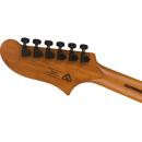 Squier Contemporary Starcaster: Picture 1 regular