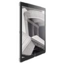 STM : Picture 1 regular