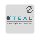 Teal Drones : Picture 1 regular