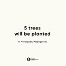 Urth : Picture 1 regular