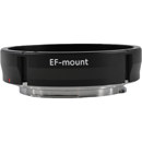 Venus : Picture 1 regular