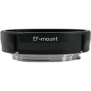 Venus : Picture 1 regular