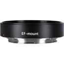 Venus : Picture 1 regular