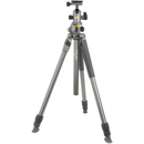 Vanguard Alta Pro 2+ 263AB100: Picture 1 regular