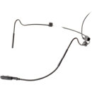 Voice Technologies : Picture 1 regular