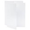 V-FLAT WORLD Tabletop V-Flat Small (18"x12"), 2-Pack, Black White
