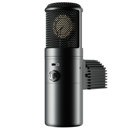 Warm Audio WA-8000: Picture 1 regular