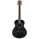 Washburn Apprentice G-Mini 5: Picture 1 regular