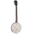 Washburn B6: Picture 1 regular