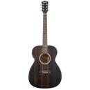 Washburn Deep Forest Ebony FE: Picture 1 regular