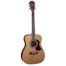 Washburn HF11S: Picture 1 regular