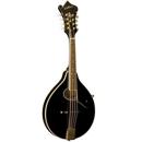 Washburn M1SDLB: Picture 1 regular