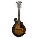 Washburn M3EK: Picture 1 regular