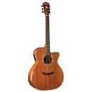 Washburn WCG55CE: Picture 1 regular
