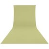 Westcott 9x20' Wrinkle-Resistant Backdrop, Brown Sugar Green