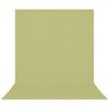 Westcott 8x8' X-Drop Pro Fabric Backdrop, Christmas Tree and Cozy Fireplace Green