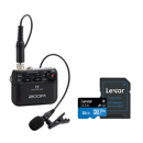 Zoom F2: Picture 1 regular