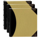 Pioneer Photo Album : Picture 1 regular