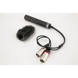 Microfono Da Tavolo Phantom ECM-10/WS - Omnidirezionale, Alimentazione Phantom 9-48V, Per Applicazioni PA - Foto 4