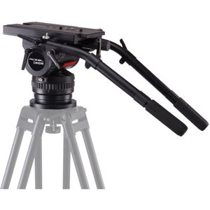 undefined undefined: Picture 1 regular