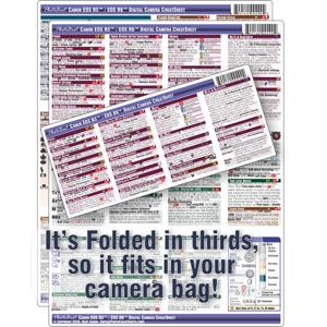 undefined undefined: Picture 1 regular