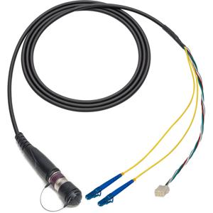 Camplex 10' Neutrik DRAGONFLY Male to Duplex LC In-Line