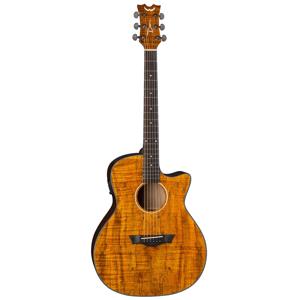 undefined undefined: Picture 1 regular