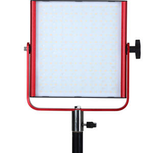 undefined undefined: Picture 1 regular