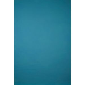 undefined undefined: Picture 1 regular