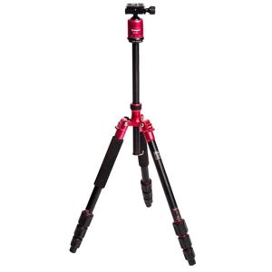 undefined undefined: Picture 1 regular