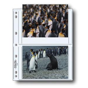undefined undefined: Picture 1 regular