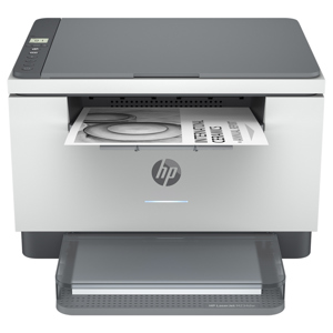 undefined undefined: Picture 1 regular