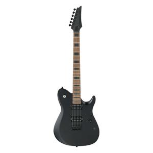 Ibanez FR800 6 String Electric Guitar Black Flat FR800BKF Adorama