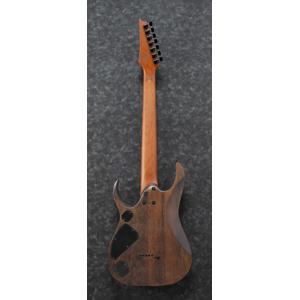 Ibanez RGD Standard RGD7521PB 7-String Electric Guitar, Deep