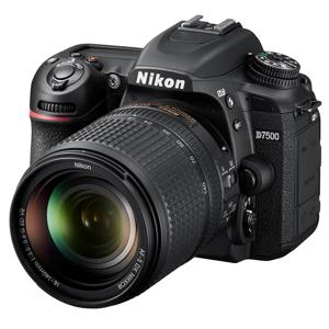 cheap nikon dslr cameras