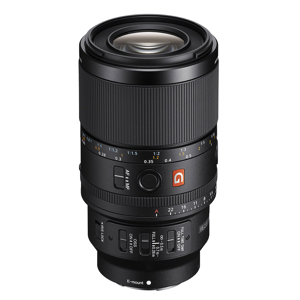 undefined undefined: Picture 1 regular