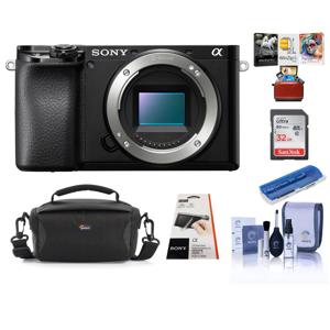 undefined undefined: Picture 1 regular