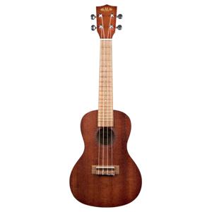 undefined undefined: Picture 1 regular