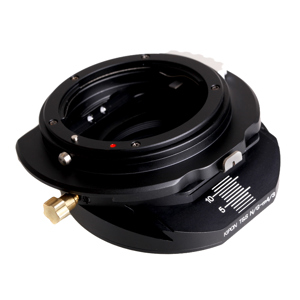 undefined undefined: Picture 1 regular