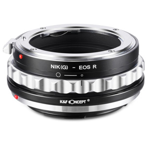 undefined undefined: Picture 1 regular